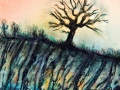 umwelt - visartis®