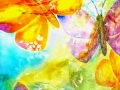 sommerwind - visartis®