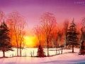 winterland - visartis®